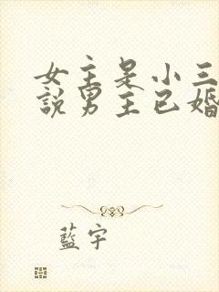 女主是小三的小说男主已婚现代文