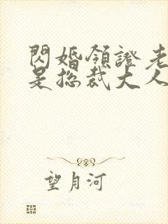 闪婚领证老公竟是总裁大人小说