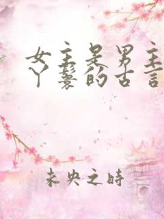 女主是男主贴身丫鬟的古言