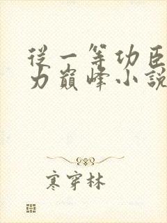 从一等功臣到权力巅峰小说免费阅读