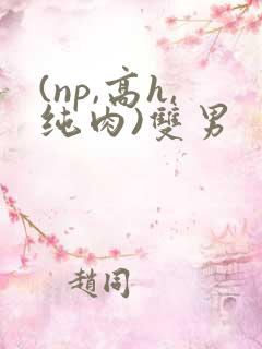 (np,高h,纯肉)双男