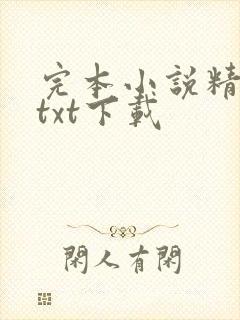 完本小说精校版txt下载