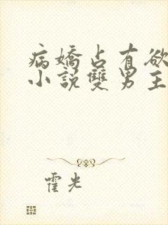 病娇占有欲强的小说双男主