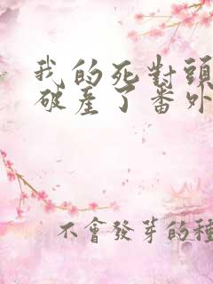我的死对头终于破产了番外