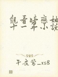 观看暗恋她的第十一年小说