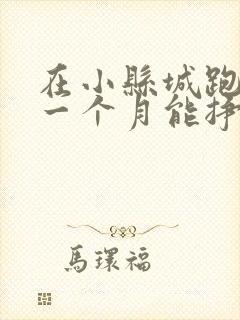 在小县城跑滴滴一个月能挣多少钱