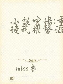 小说官场:重生后我权势滔天刘艳茹在线阅