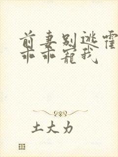 前妻别逃霍先生乖乖宠我