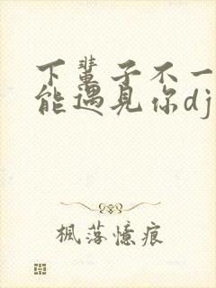 下辈子不一定还能遇见你dj