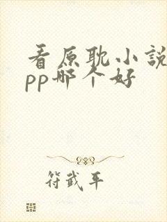 看原耽小说的app哪个好