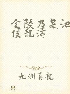 金陵乃是池中物侯龙涛