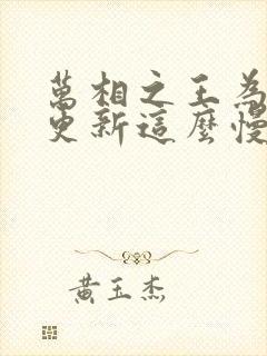 万相之王为什么更新这么慢