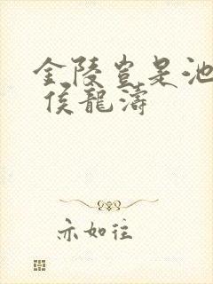 金陵岂是池中物 侯龙涛