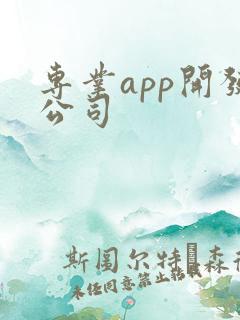 专业app开发公司