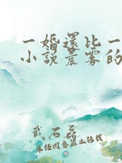 一婚还比一婚高小说晨雾的光