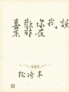 喜欢你我说了算叶非夜