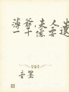 薄爷,夫人出价一千亿要退婚