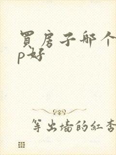 买房子哪个app好