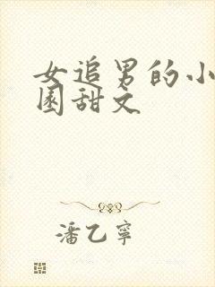 女追男的小说校园甜文