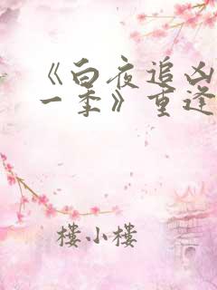 《白夜追凶 第一季》重逢版剧集