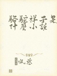 骆驼祥子是一本什么小说