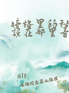 暗格里的秘密小说在哪里看