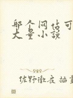 哪个网站可以看大量小说