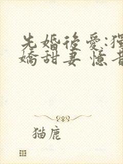 先婚后爱:独宠娇甜妻 忆昔