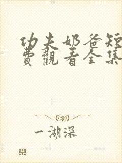 功夫奶爸短剧免费观看全集