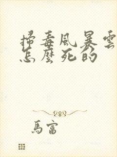 扫毒风暴云安娜怎么死的