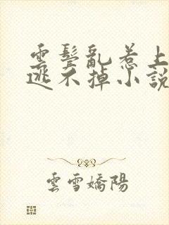 云鬓乱惹上权臣逃不掉小说全文免费阅读