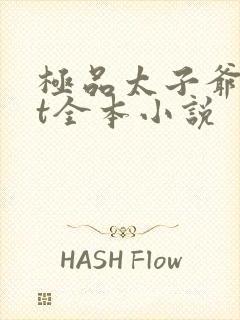 极品太子爷txt全本小说