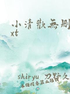 小清欢无删减txt