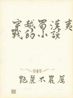 穿越蜀汉夷陵之战的小说