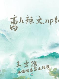 高h辣文np纯肉