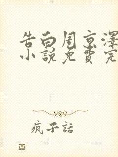 告白周京泽许随小说免费完整版