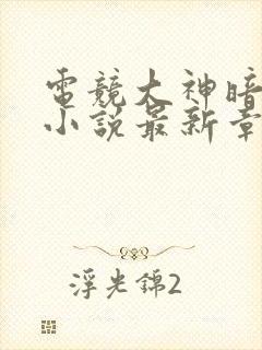 电竞大神暗恋我小说最新章节