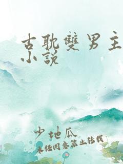 古耽双男主生子小说