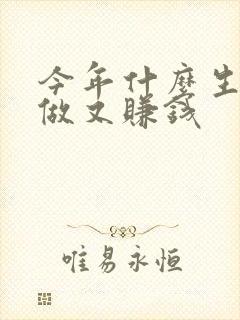 今年什么生意好做又赚钱