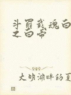 斗罗武魂白虎天之白帝