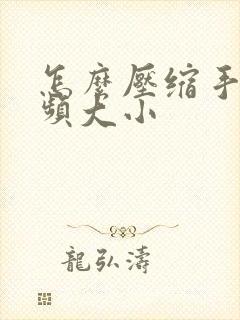 怎么压缩手机视频大小