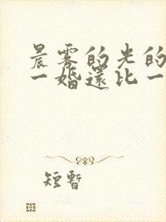 晨雾的光的小说一婚还比一婚高