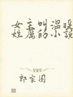 女主叫温暖男主姓厉的小说