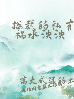 总裁的私有宝贝 祸水泱泱