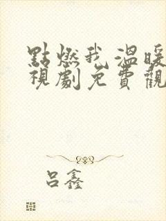 点燃我温暖你电视剧免费观看在线