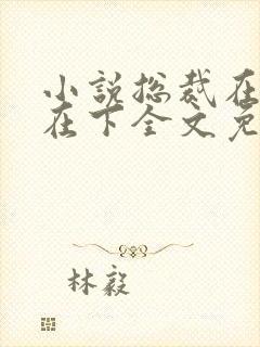 小说总裁在上我在下全文免费阅读