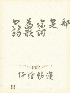 只为你是哪首歌的歌词