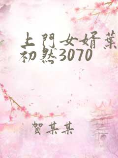 上门女婿叶辰萧初然3070