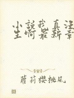 小说我真没想重生啊最新章节