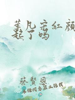 叶凡宋红颜在一起了吗